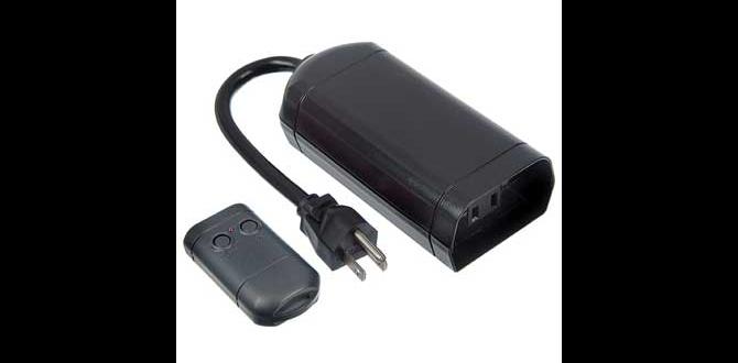 remote control for outdoor lights