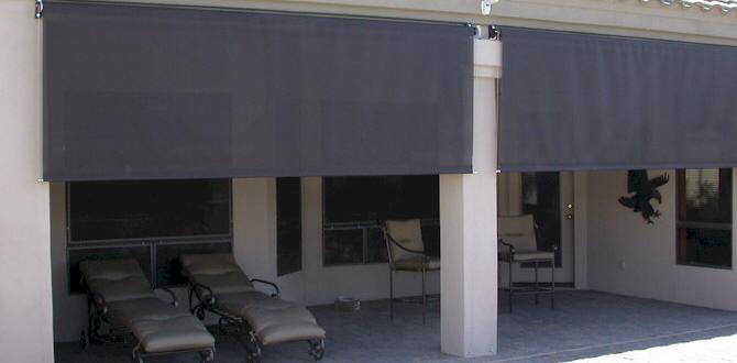 roll down shades for outdoors roll down shades for outdoors