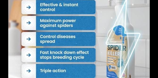 spray for spiders outdoors spray for spiders outdoors