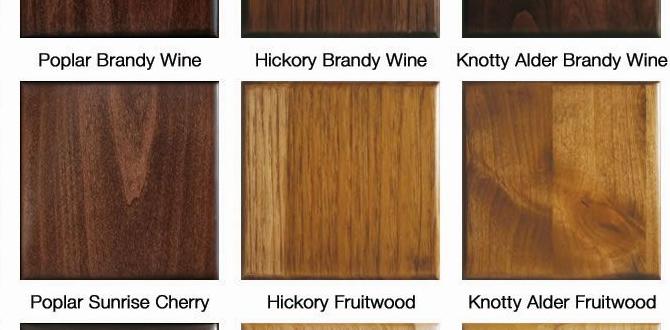 stain colors for outdoor wood stain colors for outdoor wood