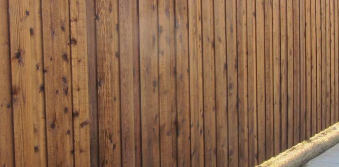 stain for outdoor fence