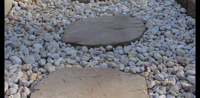 stepping stones for outdoors