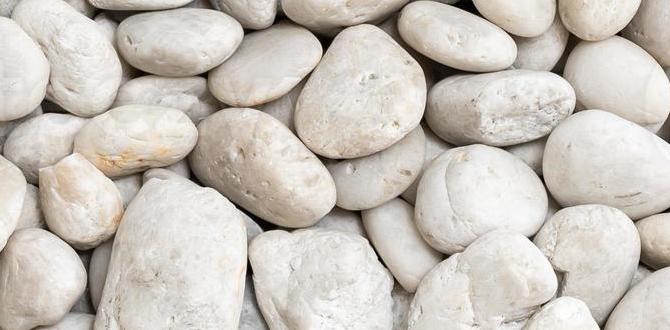 stone tile for outdoor stone tile for outdoor