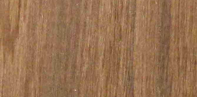 teak outdoor dining set for 6