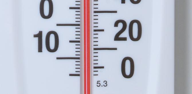 thermometer for outdoors thermometer for outdoors