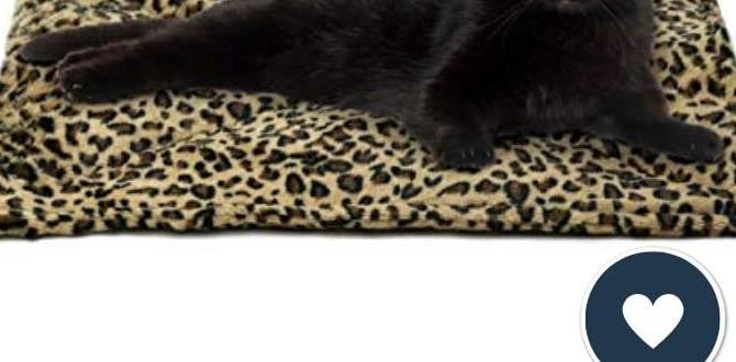 warming pads for outdoor cats warming pads for outdoor cats