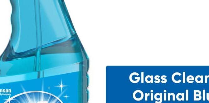 windex for outdoor windows windex for outdoor windows