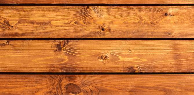 wooden signs for outdoors wooden signs for outdoors