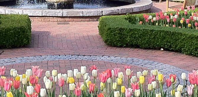 Accessibility and special needs parking parking for atlanta botanical gardens