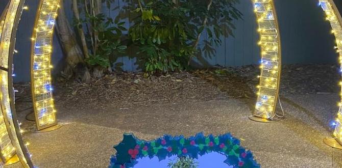 Accessibility and transportation options hours for busch gardens christmas town Accessibility and transportation options hours for busch gardens christmas town