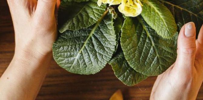 Accessible gardening options why gardening is so good for you