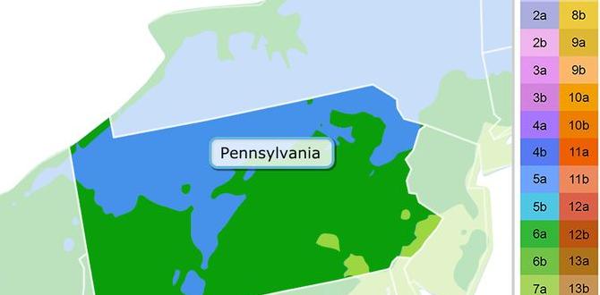Adjusting gardening practices based on zone what zone is pennsylvania in for gardening Adjusting gardening practices based on zone what zone is pennsylvania in for gardening