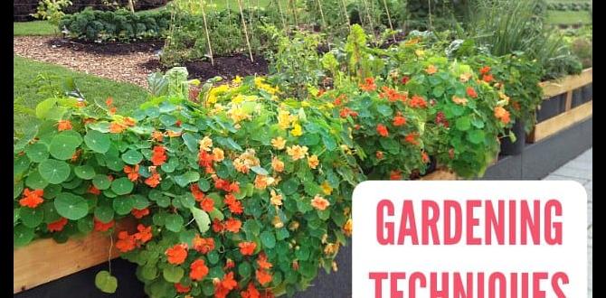 Advanced gardening techniques best gardening advice Advanced gardening techniques best gardening advice