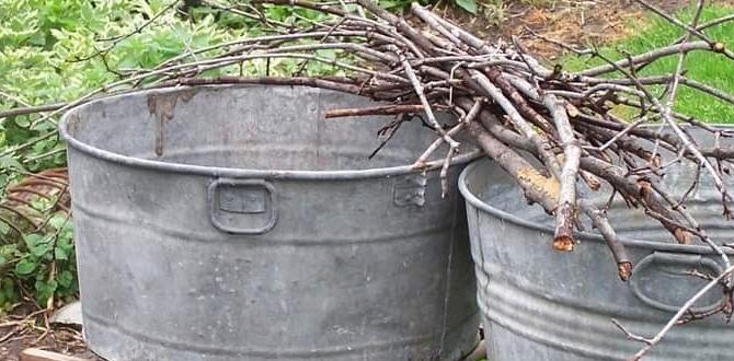 Advantages of using galvanized tubs in the garden large galvanized tubs for gardening Advantages of using galvanized tubs in the garden large galvanized tubs for gardening