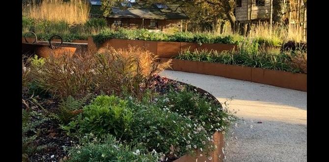 Alternative edging solutions black edging for gardens