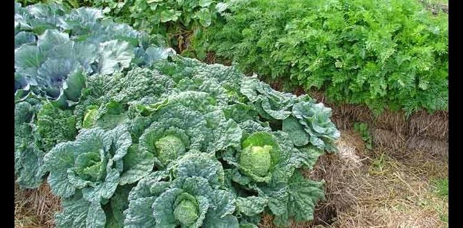 Alternative funding options for gardening projects grants for gardening Alternative funding options for gardening projects grants for gardening