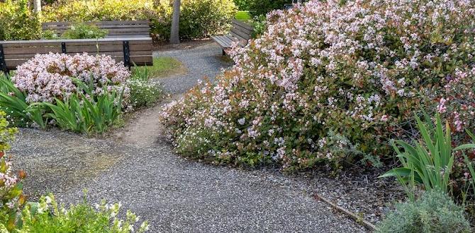 Alternative ground covers for flower gardens rubber mulch for flower gardens Alternative ground covers for flower gardens rubber mulch for flower gardens