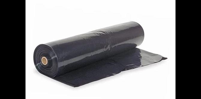 Alternative mulching options compared to black sheets black sheet for gardening Alternative mulching options compared to black sheets black sheet for gardening