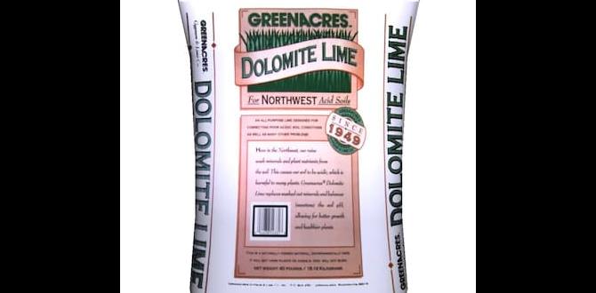 Alternative soil amendments dolomite lime for gardens