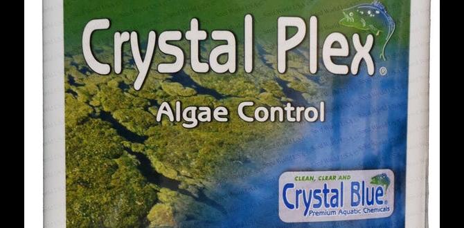Alternative solutions to copper sulfate copper sulfate for gardening Alternative solutions to copper sulfate copper sulfate for gardening