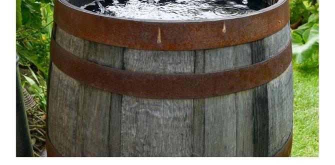 Alternative uses for rain barrels rain barrels for gardens Alternative uses for rain barrels rain barrels for gardens