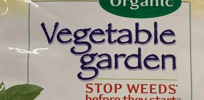 Alternative weed control solutions preen for vegetable gardens Alternative weed control solutions preen for vegetable gardens