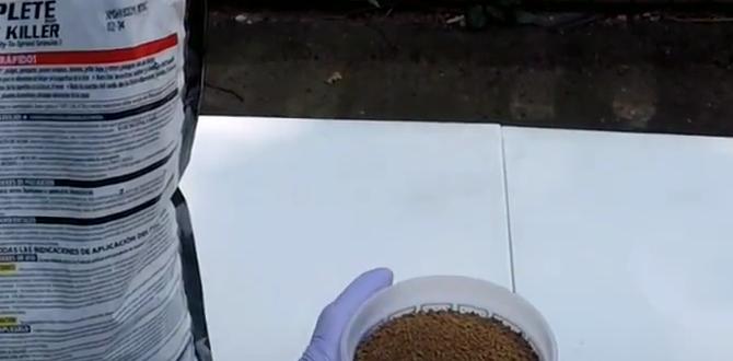 Alternatives to chemical grub killers grub killer for gardens Alternatives to chemical grub killers grub killer for gardens