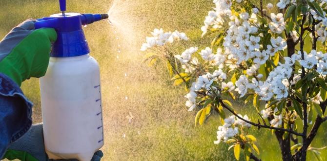 Alternatives to chemical pesticides pesticides for veggie gardens Alternatives to chemical pesticides pesticides for veggie gardens