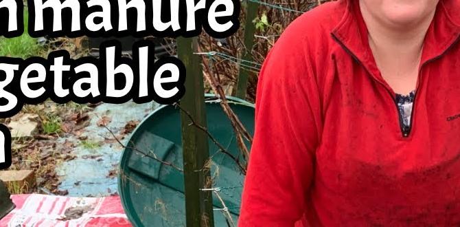 Alternatives to chicken manure is chicken manure good for gardens