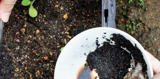Alternatives to coffee grounds in gardening coffee grounds for gardening Alternatives to coffee grounds in gardening coffee grounds for gardening