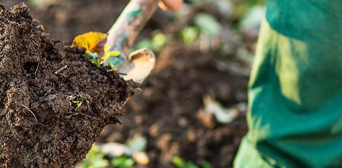 Amending soil for nutrients how to prepare soil for gardening Amending soil for nutrients how to prepare soil for gardening