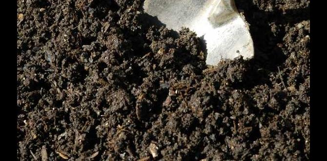 Application methods for cow manure in gardens is cow manure good for gardens Application methods for cow manure in gardens is cow manure good for gardens