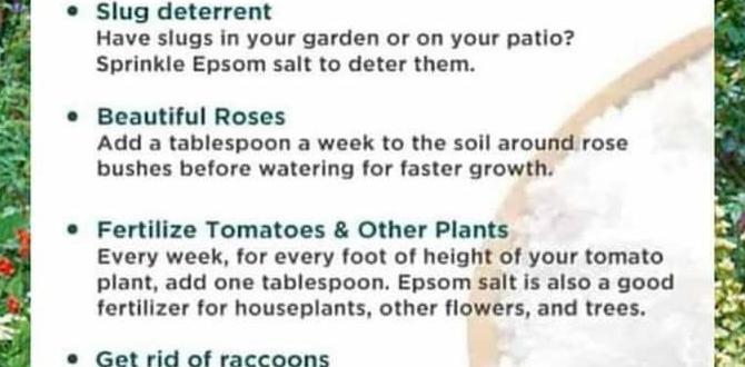 Application methods for epsom salts epsom salts for gardening Application methods for epsom salts epsom salts for gardening