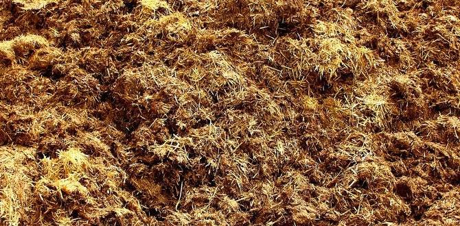 Application methods for horse manure is horse manure good for gardens Application methods for horse manure is horse manure good for gardens
