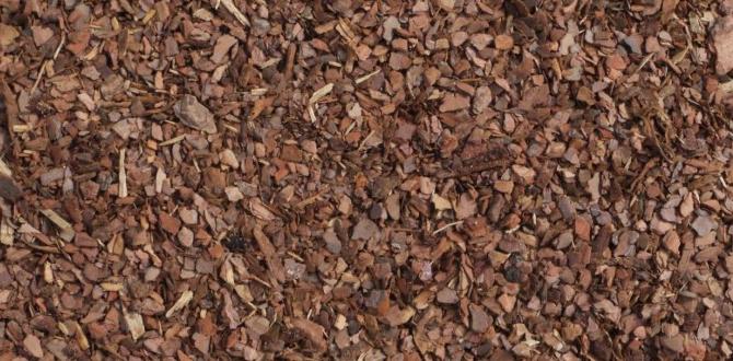 Application techniques for vegetable gardens is pine bark mulch good for vegetable gardens