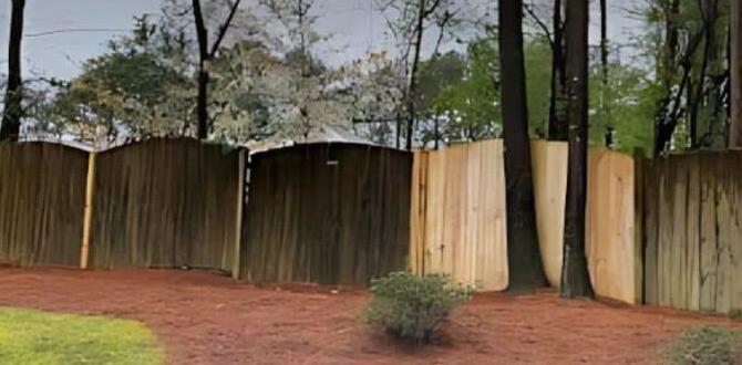 Applying leaf mulch: best practices is leaf mulch good for vegetable gardens Applying leaf mulch: best practices is leaf mulch good for vegetable gardens