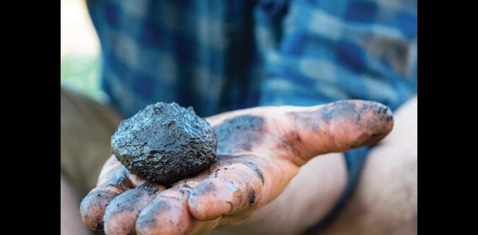 Assessing your clay soil condition how to fix clay soil for gardening Assessing your clay soil condition how to fix clay soil for gardening