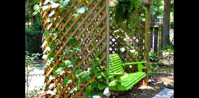 Assessing your space gardening for small backyards Assessing your space gardening for small backyards