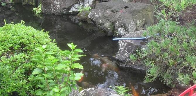 Benefits of adding miniature bridges to your garden miniature japanese bridges for gardens Benefits of adding miniature bridges to your garden miniature japanese bridges for gardens