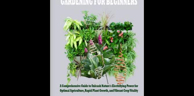 Benefits of electroculture gardening electroculture gardening for beginners Benefits of electroculture gardening electroculture gardening for beginners