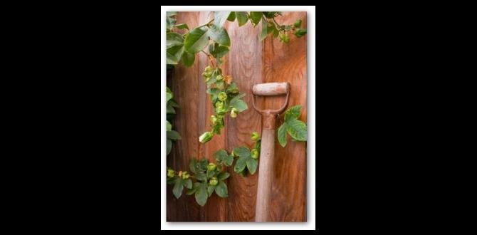 Benefits of fencing in vegetable gardens fencing ideas for vegetable gardens Benefits of fencing in vegetable gardens fencing ideas for vegetable gardens