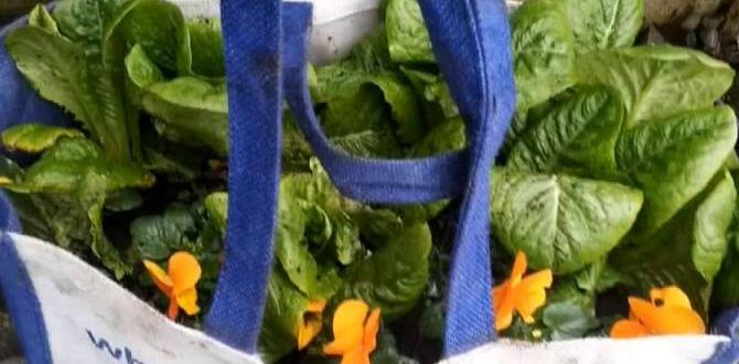Benefits of gardening art for preschoolers gardening art for preschoolers