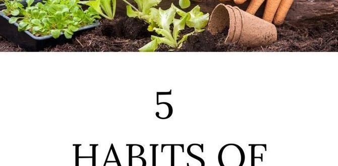 Benefits of gardening for self sufficiency gardening for self sufficiency Benefits of gardening for self sufficiency gardening for self sufficiency