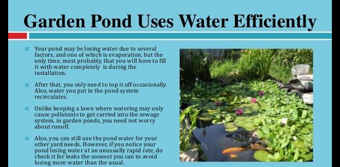 Benefits of having a fish pond in your garden fish ponds for gardens Benefits of having a fish pond in your garden fish ponds for gardens