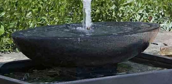 Benefits of having a water fountain in your garden small water fountains for gardens