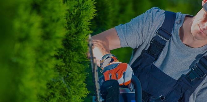 Benefits of hiring a gardener for a day hire a gardener for a day Benefits of hiring a gardener for a day hire a gardener for a day