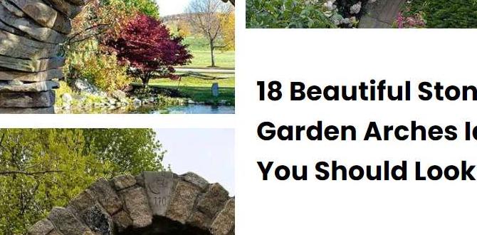 Benefits of installing stone arches in your garden stone arches for gardens Benefits of installing stone arches in your garden stone arches for gardens