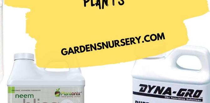 Benefits of neem oil in gardening neem oil for gardens