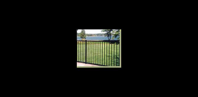 Benefits of ornamental fencing in gardens ornamental fencing for gardens Benefits of ornamental fencing in gardens ornamental fencing for gardens