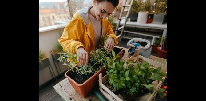 Benefits of pot gardening pot gardening for beginners Benefits of pot gardening pot gardening for beginners